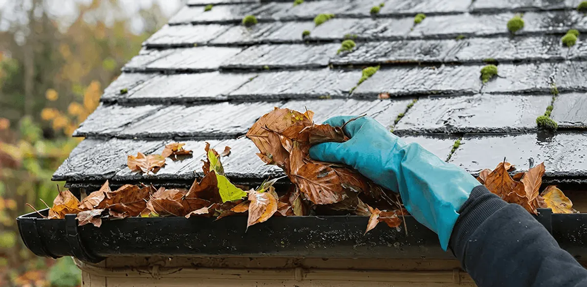 Gutter cleaning technician clearing wet leaves from roof gutters in Sarasota, FL